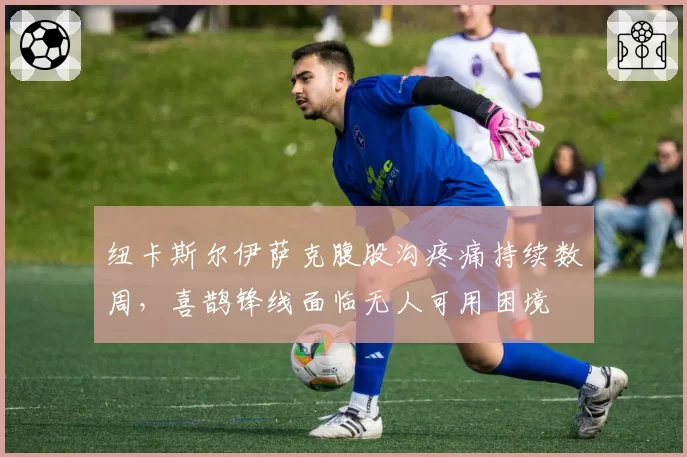 纽卡斯尔伊萨克腹股沟疼痛持续数周,喜鹊锋线面临无人可用困境