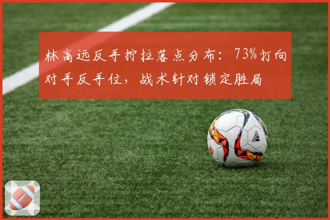 林高远反手拧拉落点分布:73%打向对手反手位,战术针对锁定胜局