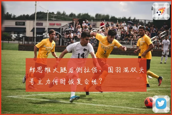 郑思维大腿后侧拉伤,国羽混双头号主力何时恢复合练?